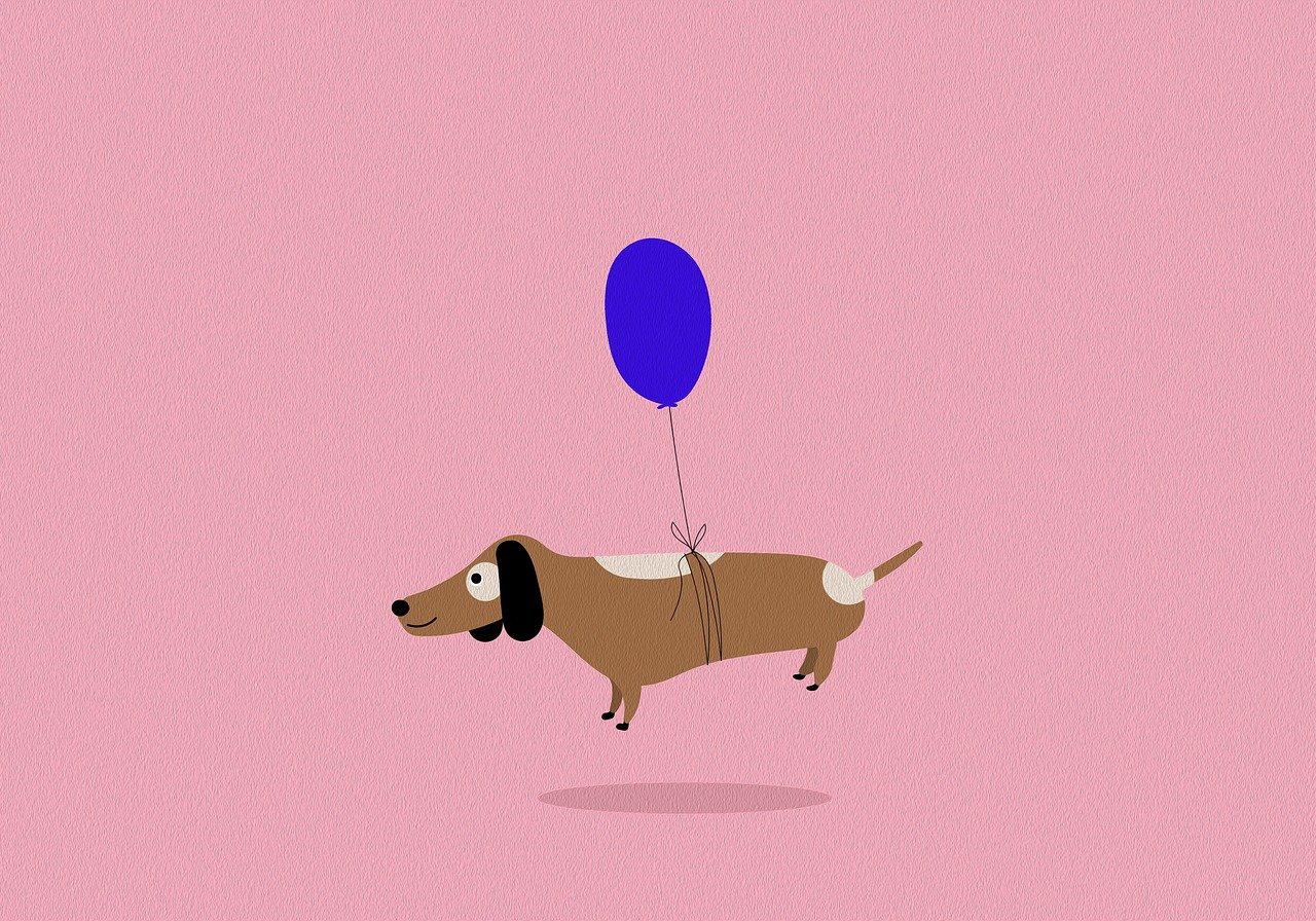 dog-9635410_1280